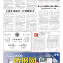 B12大纽约新闻