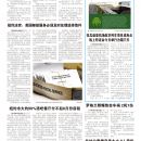 B12大纽约新闻