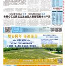 B01纽约新闻