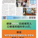 B01纽约新闻