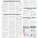 B12大纽约新闻