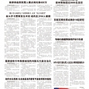 B15大纽约新闻
