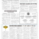 B11大纽约新闻
