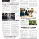 B10大纽约新闻