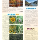 C11小记者专版