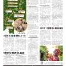 A07大陆新闻