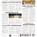 B10大纽约新闻