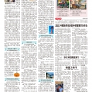 B11华夏园地