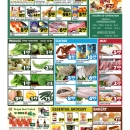 C06大华超市·新泽西