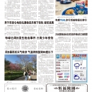 B10大纽约新闻
